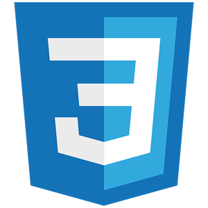 logo-CSS